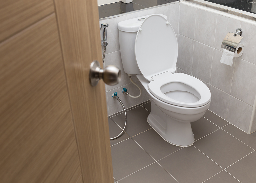 Pose de WC